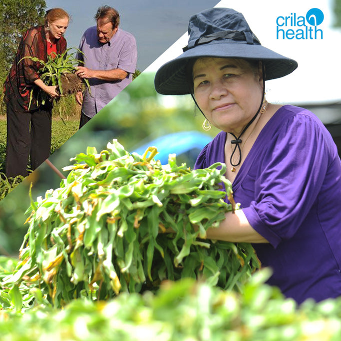 Natural Herb menopause supplements | Free us shipping | www.crilahealth.com 