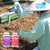 Plantation Plant Processing natural menopause natural treatments | Free us shipping | www.crilahealth.com 